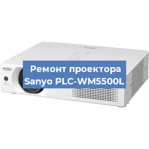 Замена поляризатора на проекторе Sanyo PLC-WM5500L в Воронеже